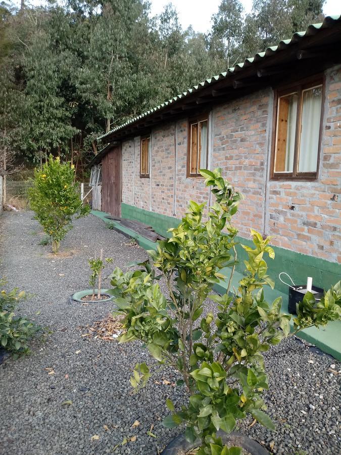 Casa Aconchegante Em Urubici Villa Екстериор снимка